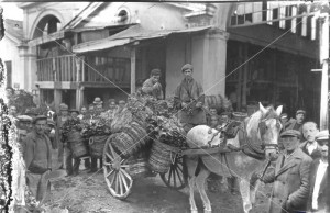 ΟΠΩΡΟΠΩΛΗΣ ΜΕ ΤΟ ΚΑΡΟ ΤΟΥ