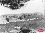 ΣΥΛΛΟΓΉ ΜΙΚΡΑΣΙΑΤΙΚΗ ΕΚΣΤΡΑΤΕΙΑ