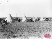 ΣΥΛΛΟΓΉ ΜΙΚΡΑΣΙΑΤΙΚΗ ΕΚΣΤΡΑΤΕΙΑ