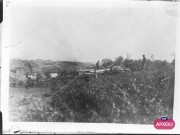 ΣΥΛΛΟΓΉ ΜΙΚΡΑΣΙΑΤΙΚΗ ΕΚΣΤΡΑΤΕΙΑ