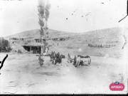 ΣΥΛΛΟΓΉ ΜΙΚΡΑΣΙΑΤΙΚΗ ΕΚΣΤΡΑΤΕΙΑ