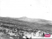 ΣΥΛΛΟΓΉ ΜΙΚΡΑΣΙΑΤΙΚΗ ΕΚΣΤΡΑΤΕΙΑ