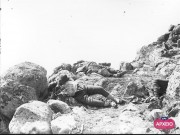 ΣΥΛΛΟΓΉ ΜΙΚΡΑΣΙΑΤΙΚΗ ΕΚΣΤΡΑΤΕΙΑ