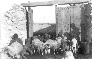 ΣΥΛΛΟΓΉ ΜΙΚΡΑΣΙΑΤΙΚΗ ΕΚΣΤΡΑΤΕΙΑ