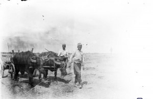 ΣΥΛΛΟΓΉ ΜΙΚΡΑΣΙΑΤΙΚΗ ΕΚΣΤΡΑΤΕΙΑ