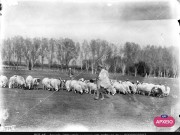 ΣΥΛΛΟΓΉ ΜΙΚΡΑΣΙΑΤΙΚΗ ΕΚΣΤΡΑΤΕΙΑ