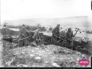 ΣΥΛΛΟΓΉ ΜΙΚΡΑΣΙΑΤΙΚΗ ΕΚΣΤΡΑΤΕΙΑ