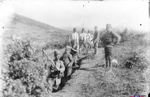 ΣΥΛΛΟΓΉ ΜΙΚΡΑΣΙΑΤΙΚΗ ΕΚΣΤΡΑΤΕΙΑ
