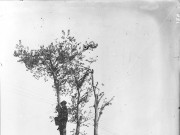 ΣΥΛΛΟΓΉ ΜΙΚΡΑΣΙΑΤΙΚΗ ΕΚΣΤΡΑΤΕΙΑ