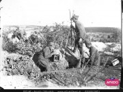 ΣΥΛΛΟΓΉ ΜΙΚΡΑΣΙΑΤΙΚΗ ΕΚΣΤΡΑΤΕΙΑ