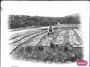 ΣΥΛΛΟΓΉ ΜΙΚΡΑΣΙΑΤΙΚΗ ΕΚΣΤΡΑΤΕΙΑ