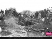 ΣΥΛΛΟΓΉ ΜΙΚΡΑΣΙΑΤΙΚΗ ΕΚΣΤΡΑΤΕΙΑ