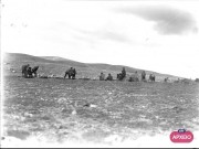 ΣΥΛΛΟΓΉ ΜΙΚΡΑΣΙΑΤΙΚΗ ΕΚΣΤΡΑΤΕΙΑ