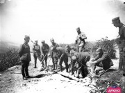 ΣΥΛΛΟΓΉ ΜΙΚΡΑΣΙΑΤΙΚΗ ΕΚΣΤΡΑΤΕΙΑ