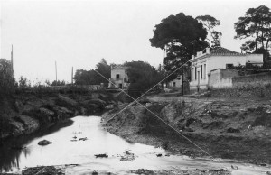 ΣΥΛΛΟΓΉ ΠΕΤΡΟΥ ΠΟΥΛΙΔΗ