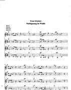 NACHTGESANG IM WALDE