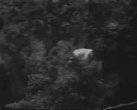 ΙΣΤΟΡΙΚΟ ΑΡΧΕΙΟ ΕΡΤ