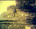 story-000016