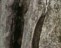 story-000016