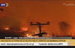 Zωή Δανιηλίδου – πρόεδρος παιδικών χωριών