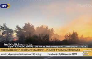 Αχιλλέας Παπαστεργίου – Πρόεδρος Μελισσοκομικού Συνεταιρισμού Σίθων Κινδυνεύουν μελίσσια – Ζημιές στη μελισσοκομία