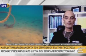 Προστατεύουν αποικία ιππόκαμπων στο Στρατώνι Χαλκιδικής
