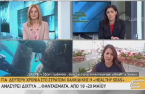 Για δεύτερη χρονιά στο Στρατώνι Χαλκιδικής η «healthy seas» ανασύρει δίχτυα… φαντάσματα, από 18 – 20 Μαΐου
