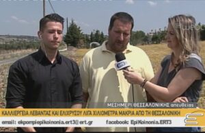 Καλλιέργεια λεβάντας και ελίχρυσου λίγα χιλιόμετρα μακριά από τη Θεσσαλονίκη